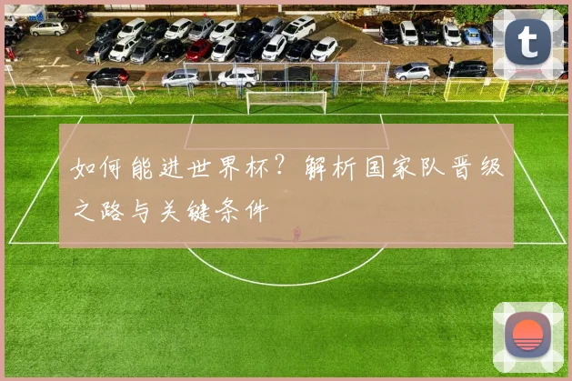 如何能进世界杯？解析国家队晋级之路与关键条件