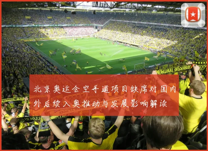 北京奥运会空手道项目缺席对国内外后续入奥推动与发展影响解读