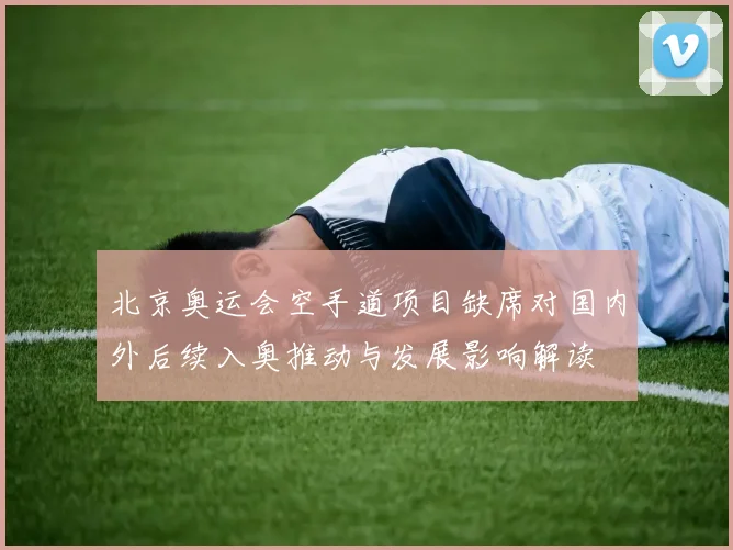 北京奥运会空手道项目缺席对国内外后续入奥推动与发展影响解读