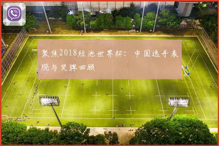 聚焦2018短池世界杯：中国选手表现与奖牌回顾
