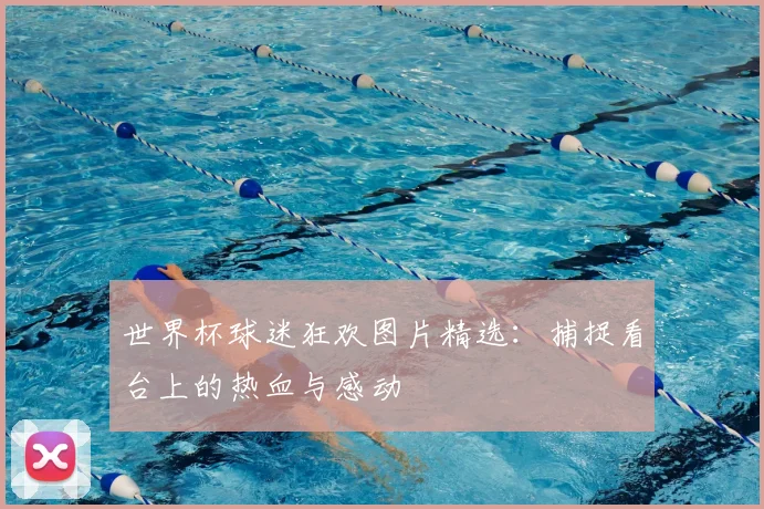 世界杯球迷狂欢图片精选:捕捉看台上的热血与感动